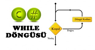 while döngüsü
